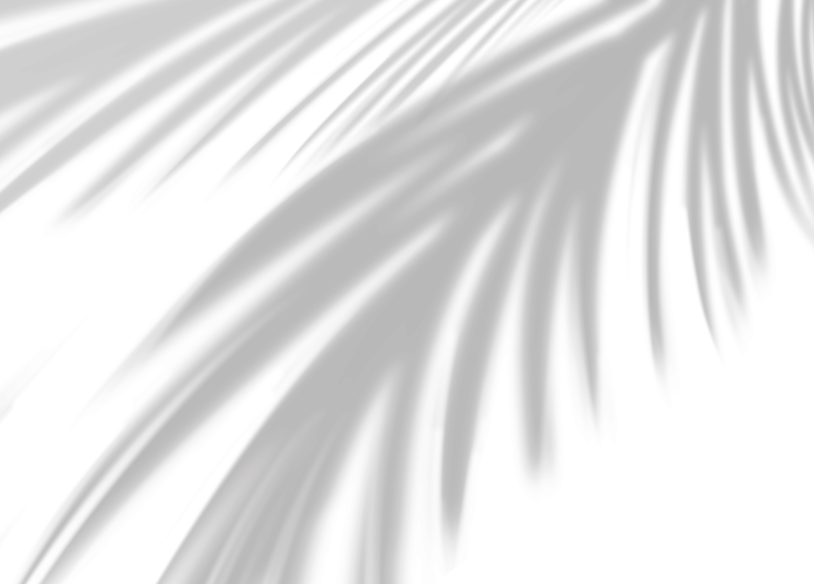 Leaves shadow overlay, Transparent Coconut Palm Leaf, Isolated Tropical Branches Leaf