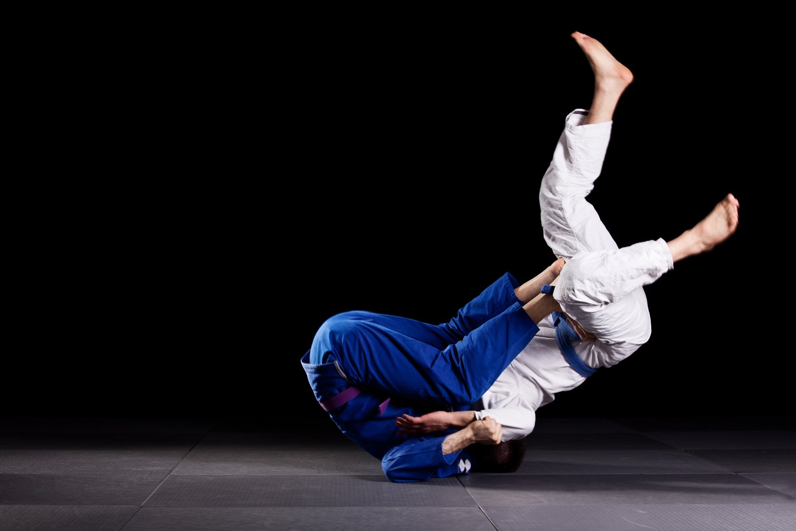 Brazilian jiu-jitsu martial arts